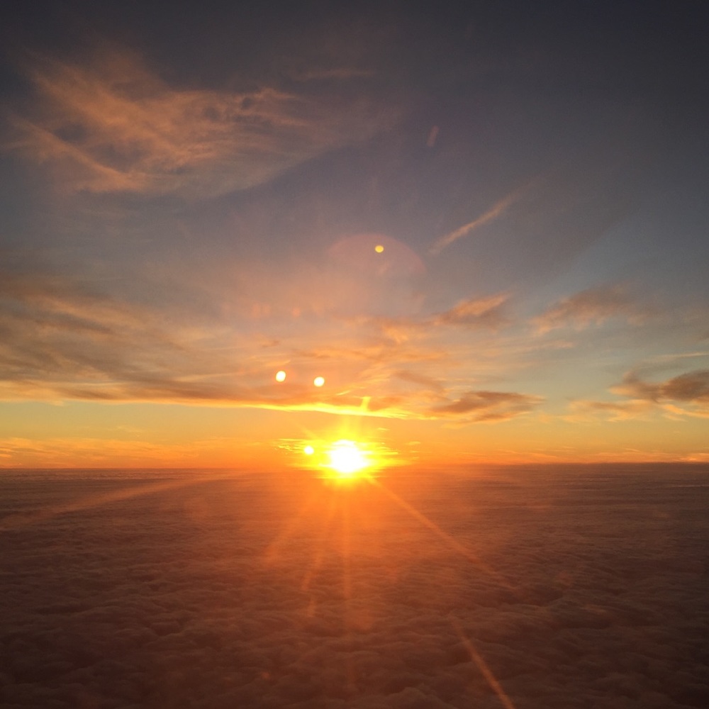 Meet your Posher, Juliana